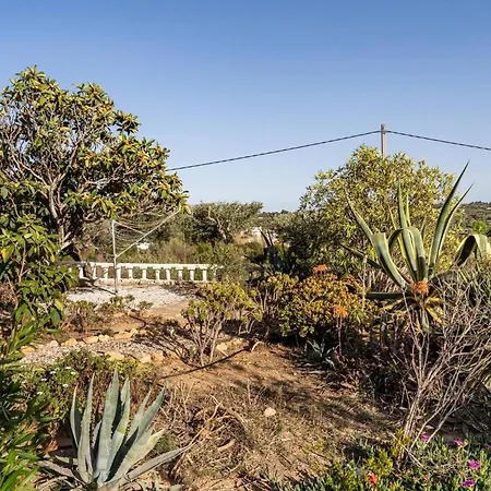 Hébergement de vacances Casa Rosa Longterm Living And Workspace Montserrat