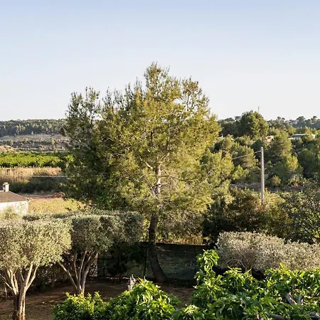 Casa Rosa Longterm Living And Workspace * Montserrat